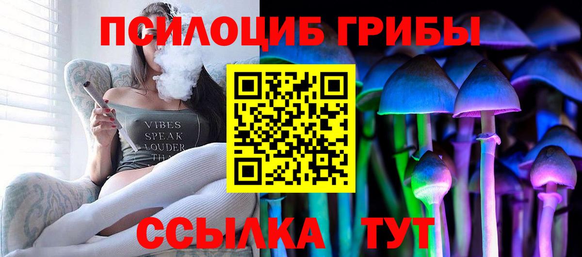 Псилоцибиновые грибы мицелий  Вход с VPN  Кинель 
