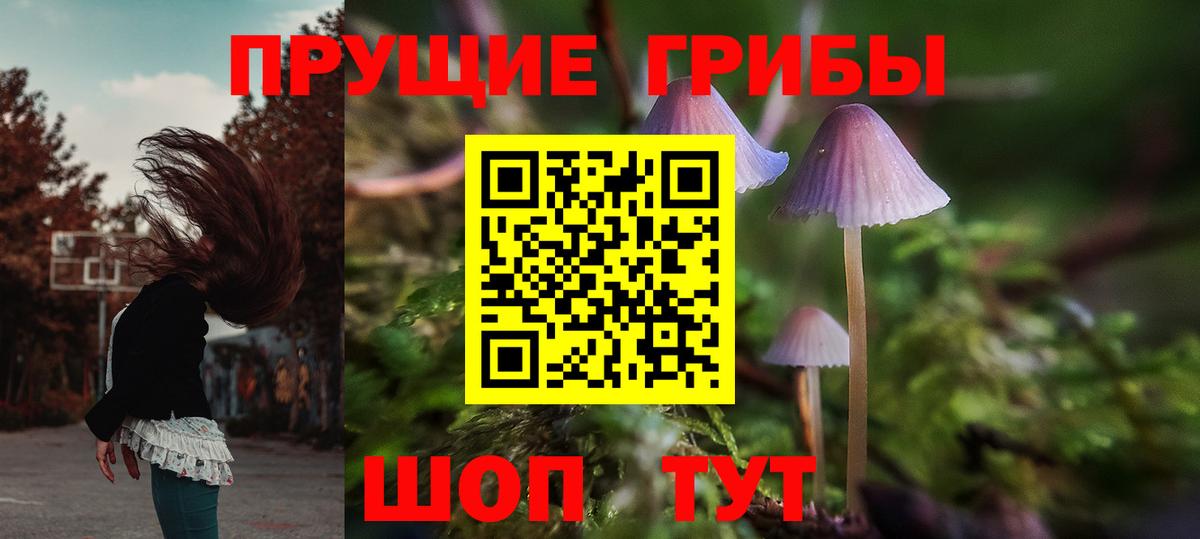 Галлюциногенные грибы прущие грибы Кинель