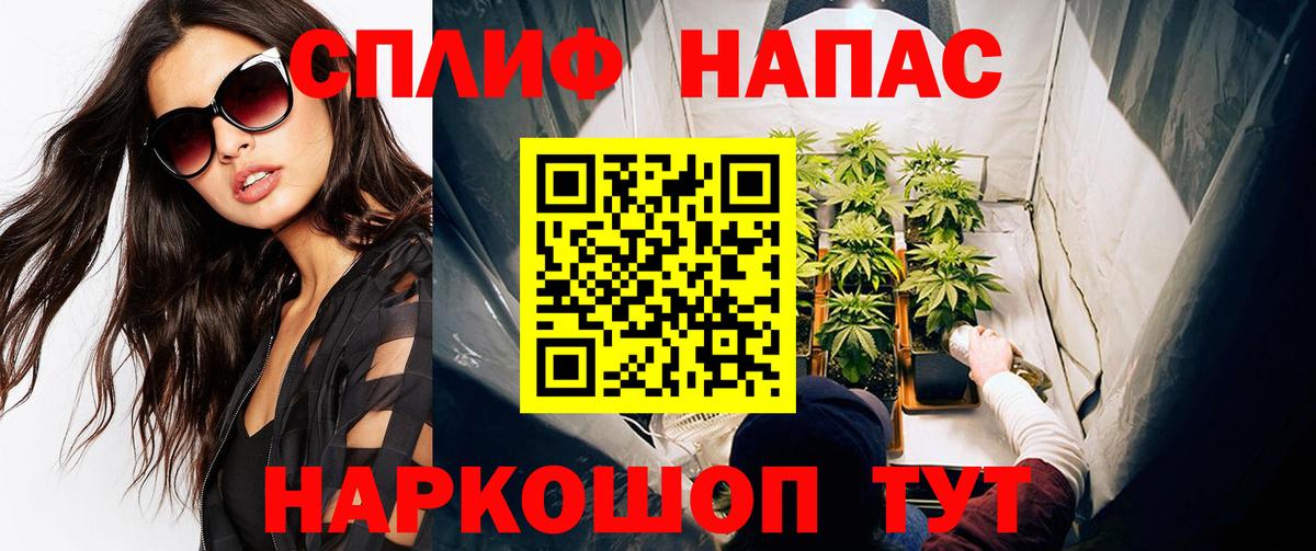 Бошки Шишки семена  Канабис индика  Кинель  МАРИХУАНА VHQ  Вход с VPN 